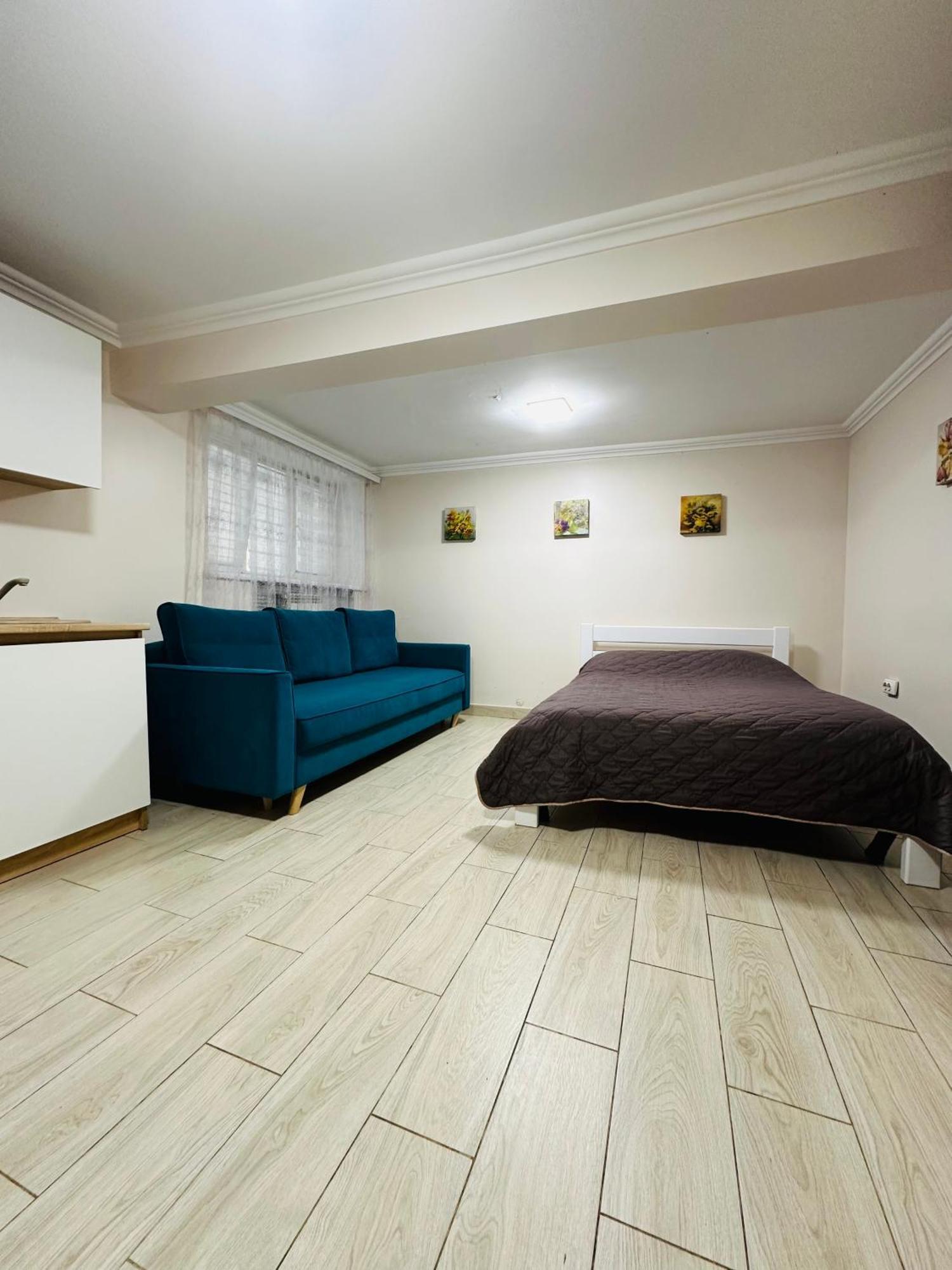 Бюджетна Студія Біля Резиденції Університету By Willox Apartment Chernivtsi